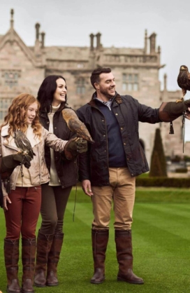 Falconry