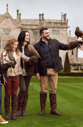 Falconry