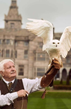 Falconry