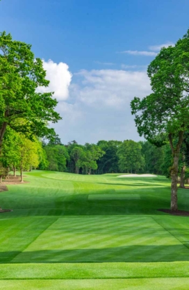 Golf Gallery