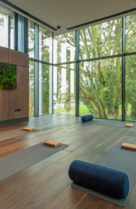 Yoga in The Studio